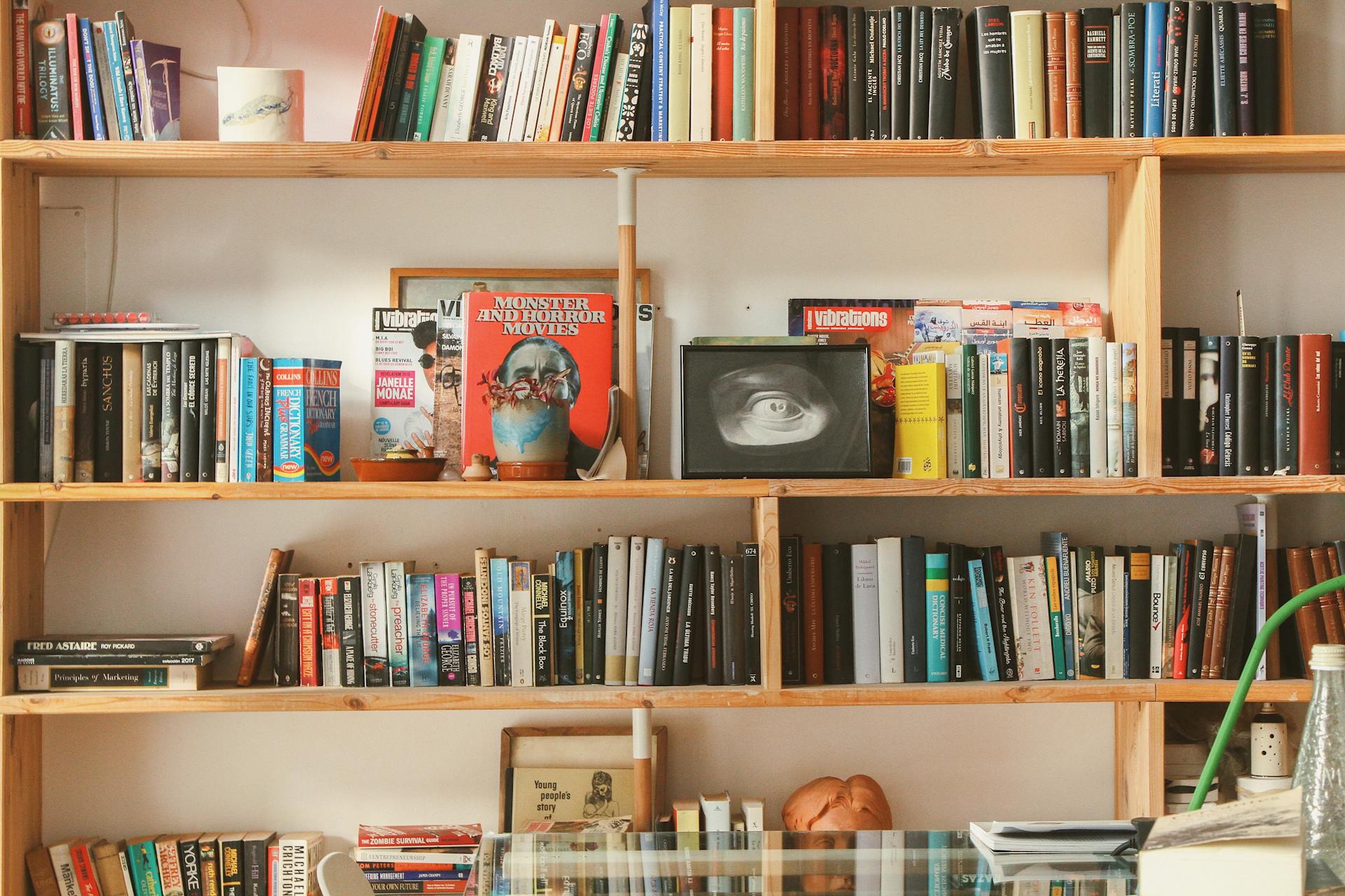 a books-in-shelf-inside-room
